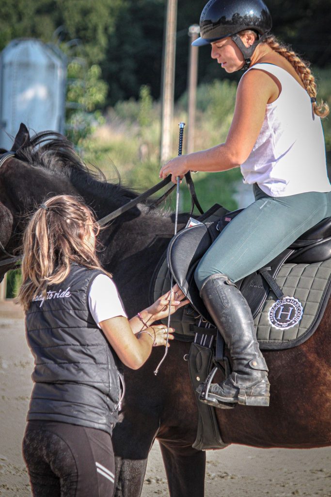 SaddleFit'Cam - Consultation Équestre