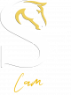 LOGO SFC BLANC LOGO SFC BLANC