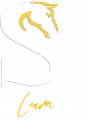 LOGO SFC BLANC LOGO SFC BLANC